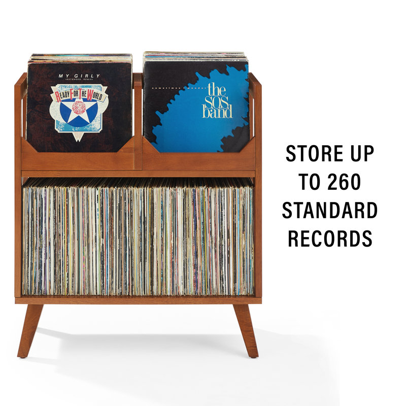 George Oliver Zayne Medium Record Storage Stand & Reviews | Wayfair